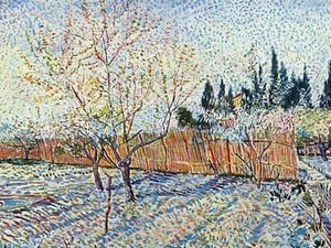 Orchard by Vincent van Gogh - Art Print