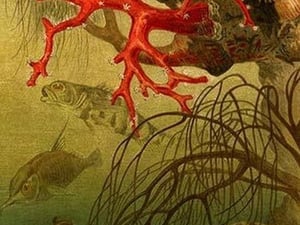 Coral by Friedrich Wilhelm Kuhnert - Art Print