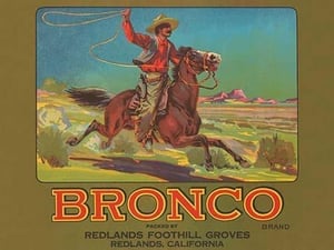 Bronco Brand Crate Label - Art Print