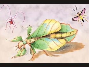 Three Insect Examples by James Duncan - Art Print
