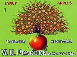 W.D. Peacock Fancy Apples - Art Print