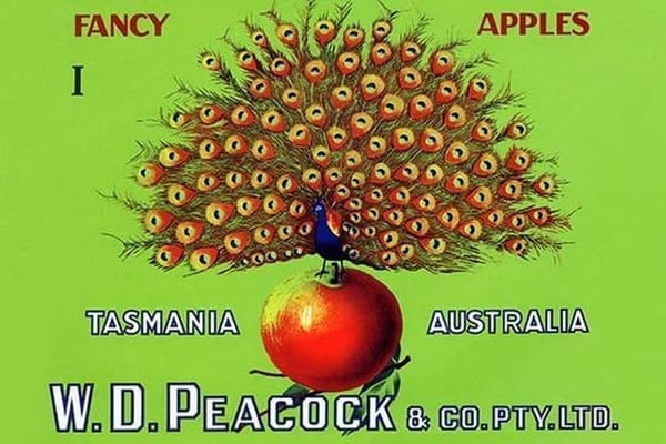 W.D. Peacock Fancy Apples - Art Print