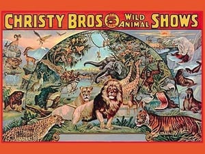 Christy Bros. 5 Ring Wild Animal Shows - Art Print