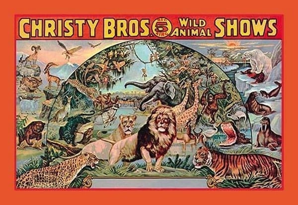 Christy Bros. 5 Ring Wild Animal Shows - Art Print