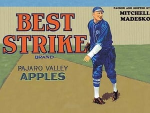 Pajaro Valley Apples: Best Strike Brand - Art Print