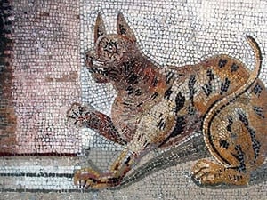 Ancient Tile Cat - Art Print