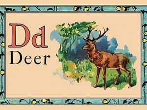 Deer - Art Print