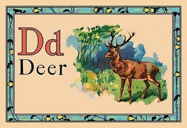 Deer - Art Print
