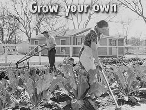 Homegrown food is homegrown wealth. by Dorothea Lange - Art Print