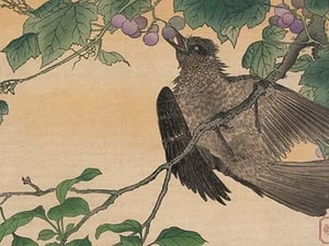 Bird Eating a Grape by Kuwagata Kesai - Art Print