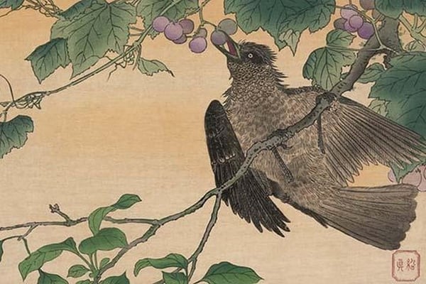 Bird Eating a Grape by Kuwagata Kesai - Art Print
