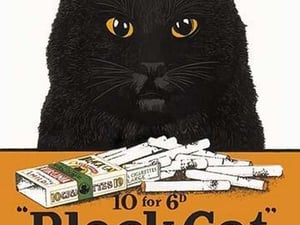 Black Cat Pure Matured Virginia Cigarettes - Art Print