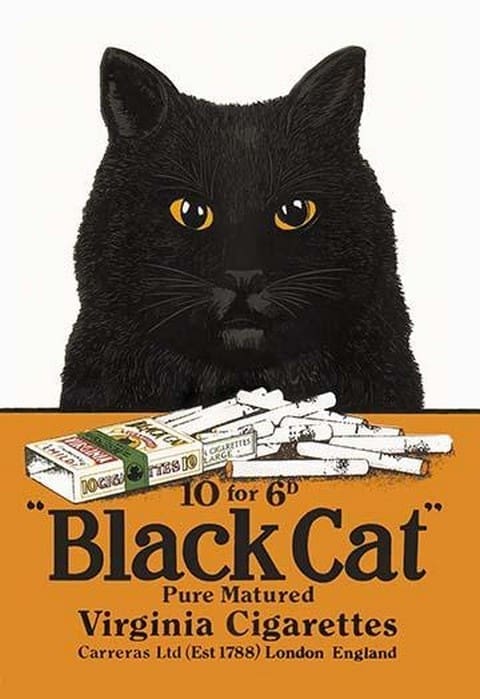 Black Cat Pure Matured Virginia Cigarettes - Art Print