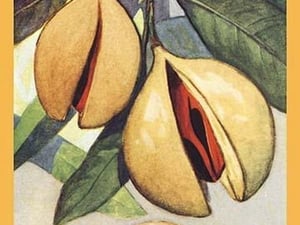 Nutmeg - Art Print