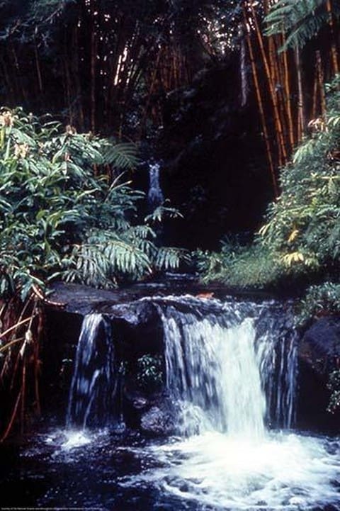 Tropical Waterfall by James P. McVey - Art Print