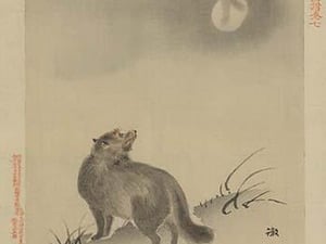 Fox - Art Print