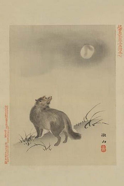 Fox - Art Print