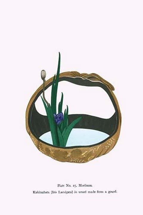 Kakitsubata (Iris Laevigata) in vessel made from a Gourd by Josiah Conder - Art Print