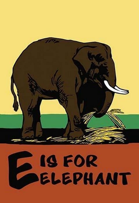 E is for Elephant by Charles Buckles Falls - Art Print