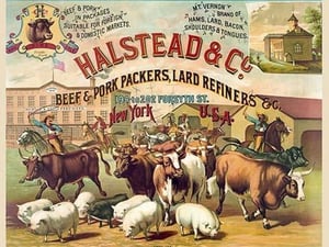 Halstead & Co. beef & pork Packers