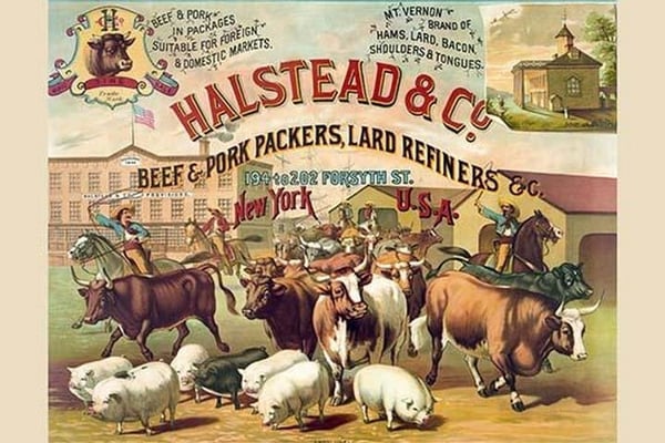 Halstead & Co. beef & pork Packers