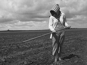 Wife of Texas tenant farmer. by Dorothea Lange - Art Print
