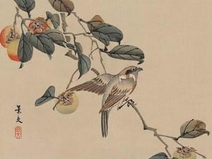 Bird perched on a branch from a fruit persimmon tree. by Keibun Matsumura - Art Print