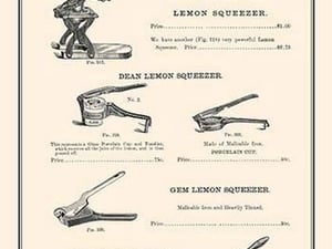 Lemon Squeezers - Art Print