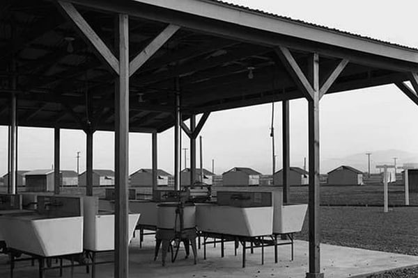 Laundry facilities at Westley camp by Dorothea Lange - Art Print