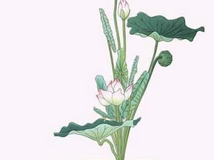 Hasu (Lotus) in Sunabachi by Josiah Conder #2 - Art Print