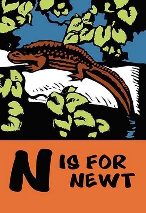 N is for Newt by Charles Buckles Falls - Art Print
