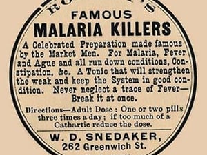 Robert's Famous Malaria Killers - Art Print