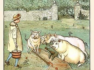 Pigs are fed in their trough by Randolph Caldecott - Art Print