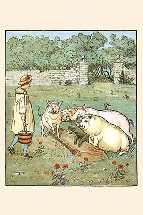 Pigs are fed in their trough by Randolph Caldecott - Art Print