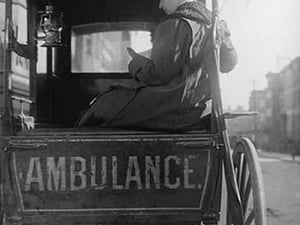 Dr. Elizabeth Bruyn sits in the rear of her Horse Drawn Ambulance - Art Print
