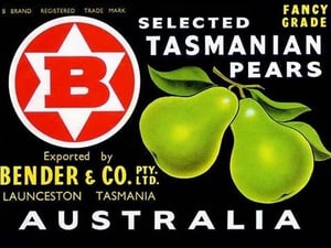 Bender & Co. Selected Tasmanian Pears - Art Print
