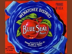 Wenatchee District Blue Seal Brand Apples - Art Print