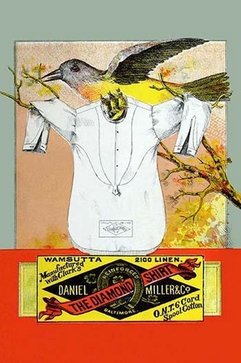 The Diamond Shirt - Art Print