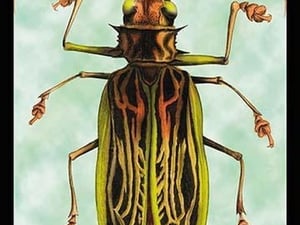 Beetle: Brazilian Prionus Cervicornis by Sir William Jardine - Art Print