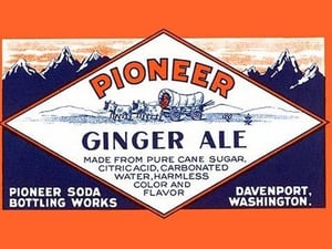 Pioneer Ginger Ale - Art Print