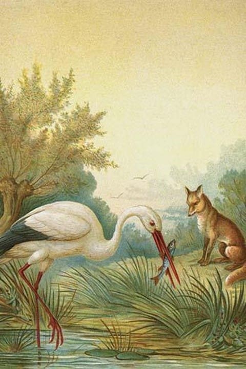 Fox & the Stork by Anton Hochstein - Art Print