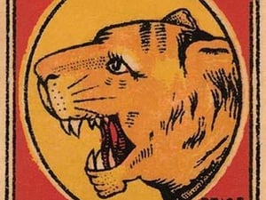 Tiger Head Safety Matches - Art Print
