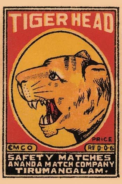 Tiger Head Safety Matches - Art Print