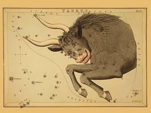 Taurus the Bull by Aspin Jehosaphat - Art Print