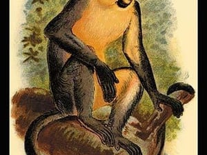 Everett's Langur by G.R. Waterhouse - Art Print