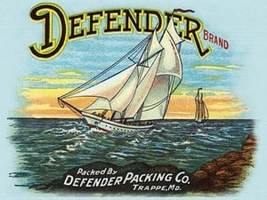 Defender Sail - Art Print