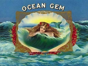 Ocean Gem - Art Print