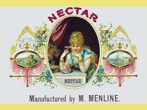 Nectar Cigars - Art Print