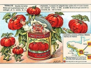 Tomate (Tomatoes) by M. Halle - Art Print