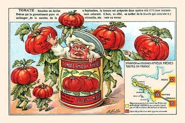 Tomate (Tomatoes) by M. Halle - Art Print